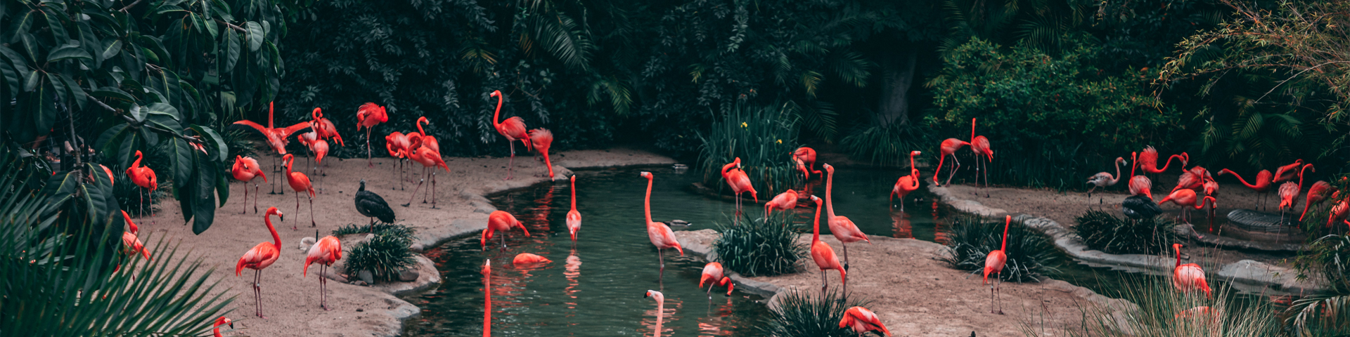 湖南旭途国际旅行社有限公司